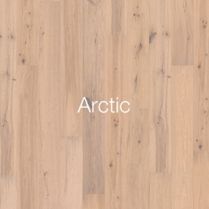 Arctic1