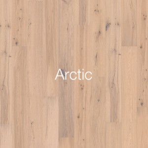 Arctic1