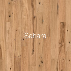 Sahara1