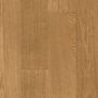 c2-copper-rustic-light