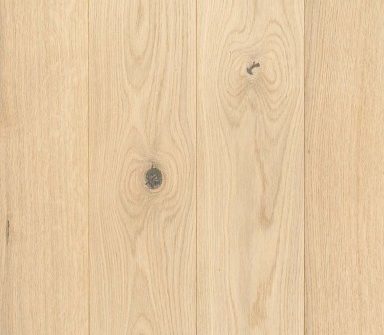 c2-polar-rustic-light