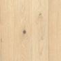 c2-polar-rustic-light