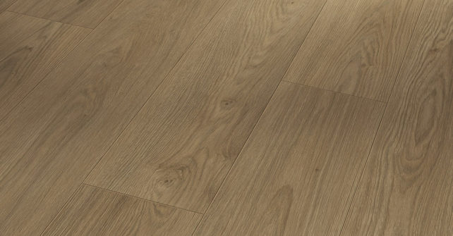 parador_1748790_chêne mont blanc brun